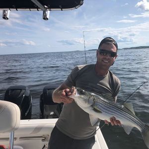 Meet your Posher, Greg